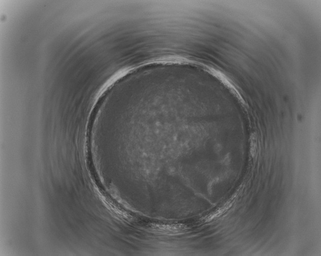 X0000087691229200705181746