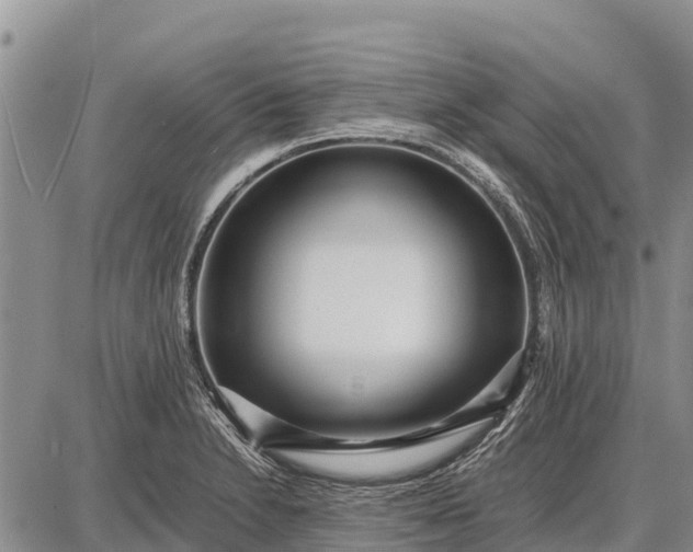 X0000087691230200705181746