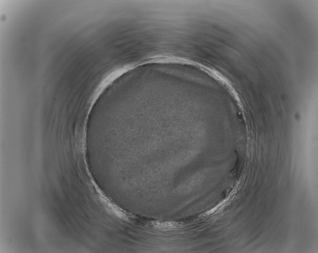 X0000087691231200705181746