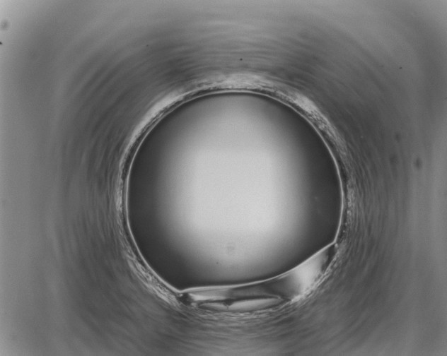 X0000087691232200705181746