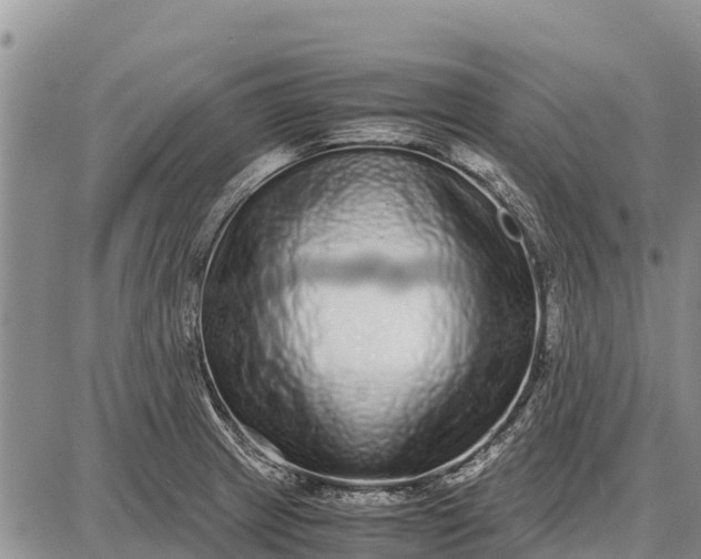 X0000087691233200705181746