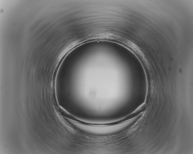 X0000087691234200705181746