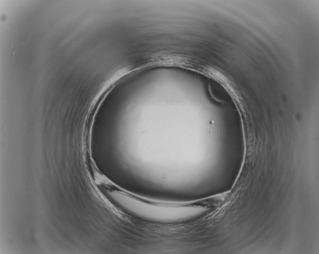 X0000087691235200705181746