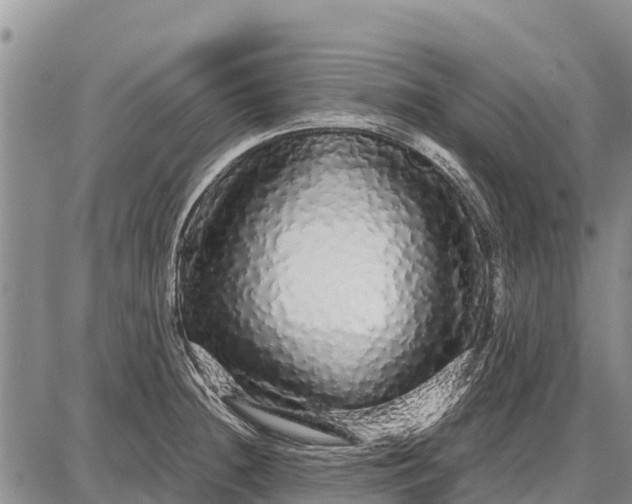 X0000087691236200705181746