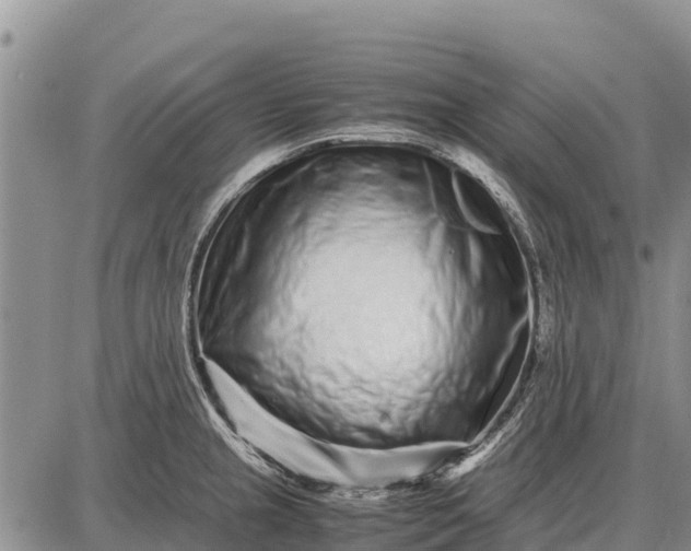 X0000087691237200705181746