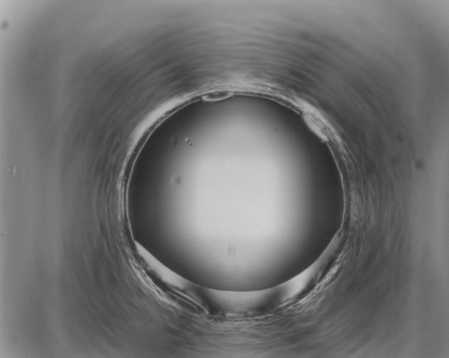 X0000087691238200705181746