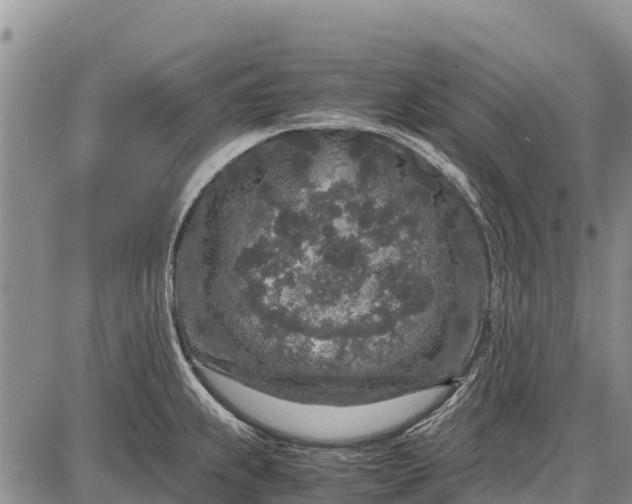 X0000087691239200705181746