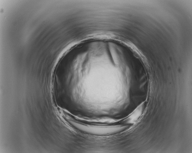 X0000087691240200705181747