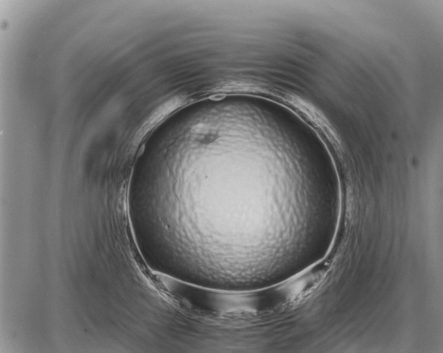 X0000087691241200705181747