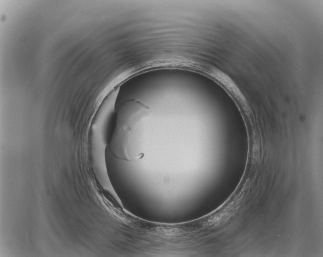 X0000087691242200705181747