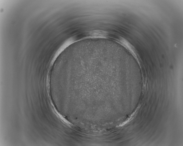 X0000087691243200705181747