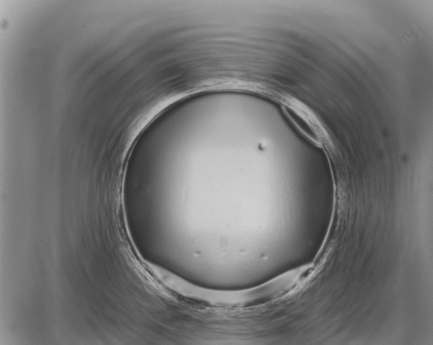 X0000087691244200705181747