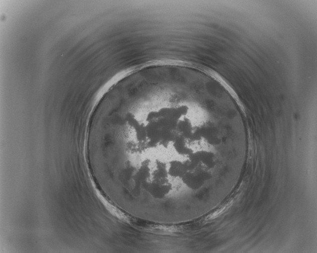 X0000087691245200705181747