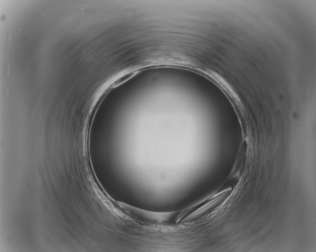 X0000087691246200705181747