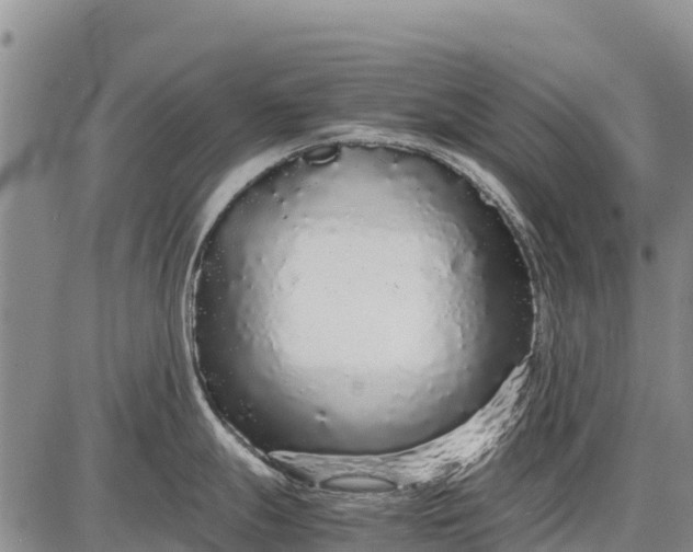 X0000087691247200705181747