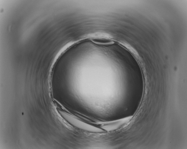 X0000087691248200705181747