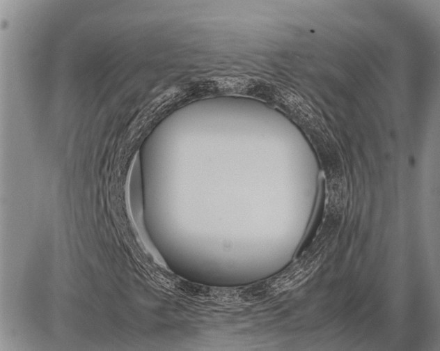 X0000087691249200705181746