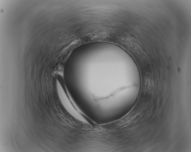 X0000087691250200705181746