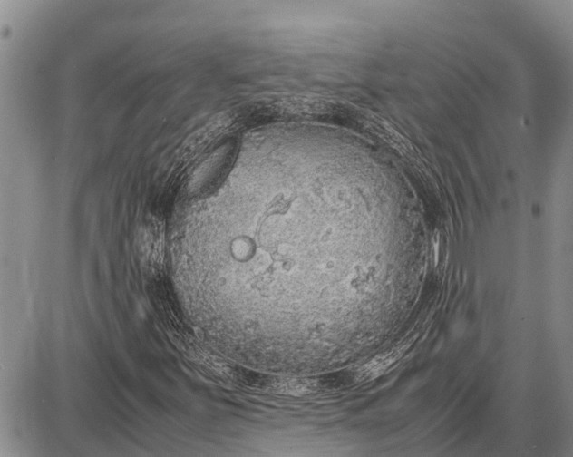 X0000087691251200705181746