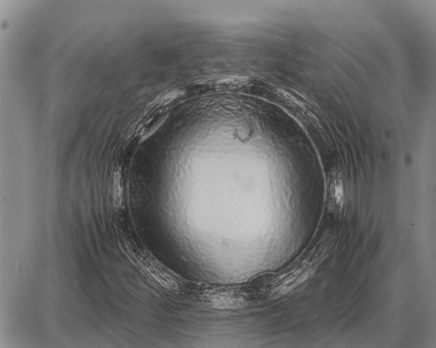 X0000087691252200705181746