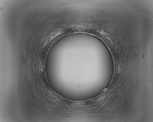 X0000087691253200705181746