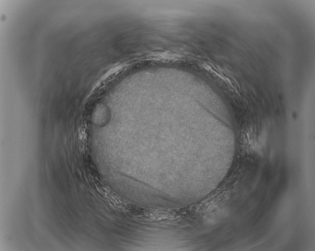 X0000087691254200705181746