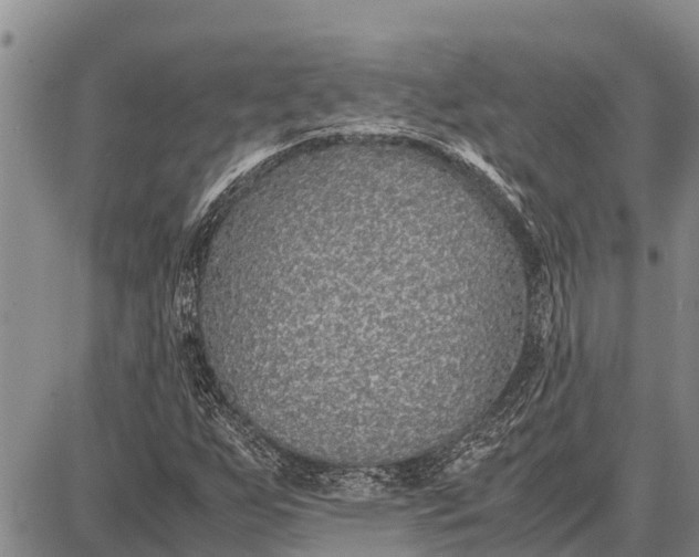 X0000087691255200705181746