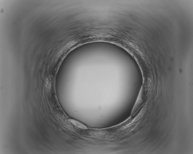 X0000087691257200705181746