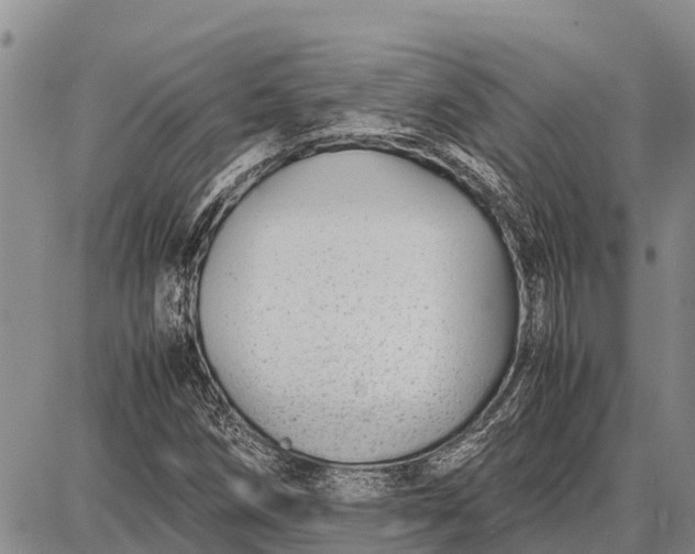 X0000087691258200705181746