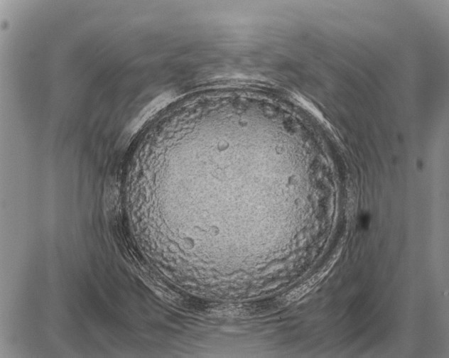 X0000087691259200705181746