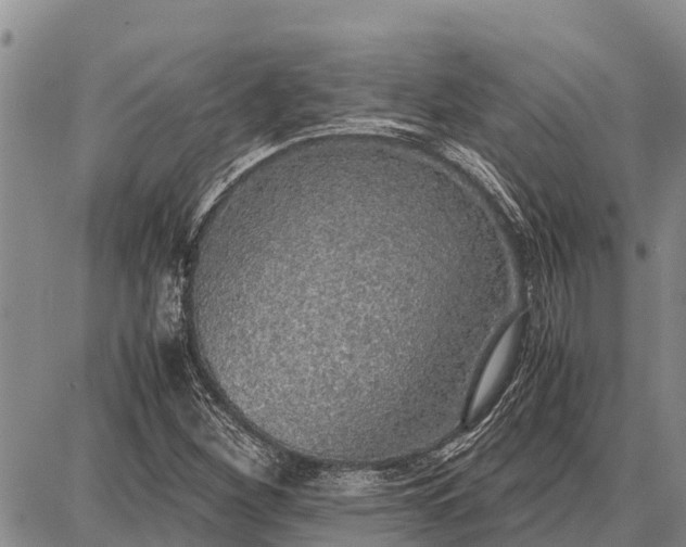 X0000087691260200705181746