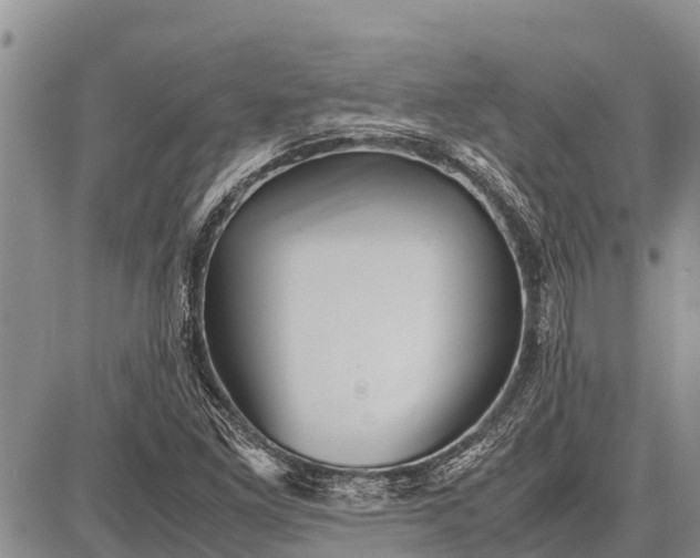 X0000087691261200705181746