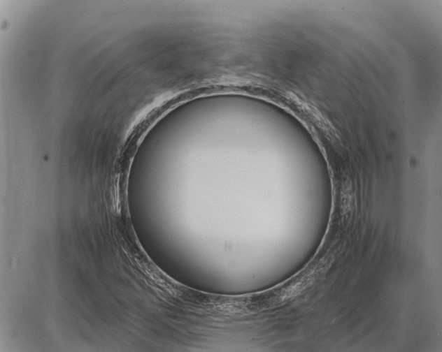 X0000087691262200705181746