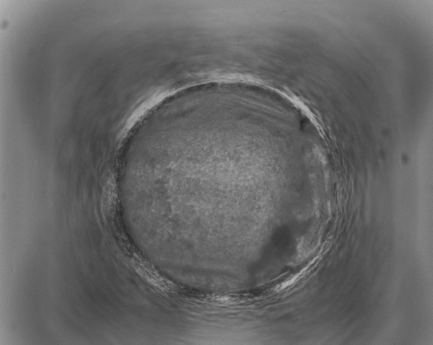 X0000087691263200705181746