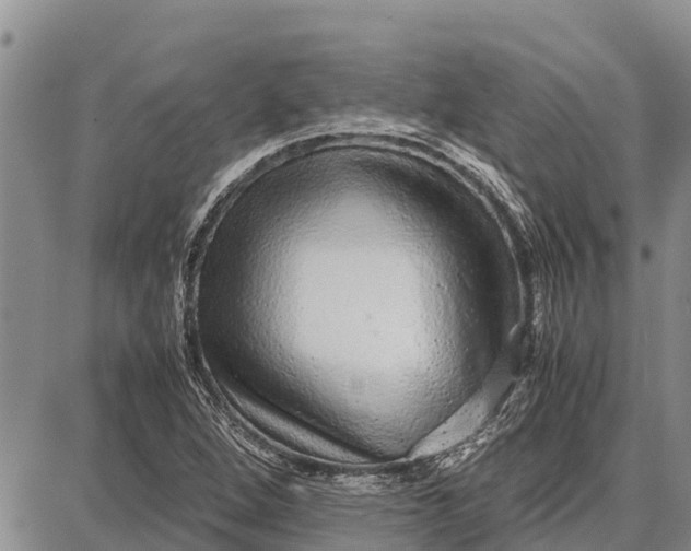 X0000087691264200705181746