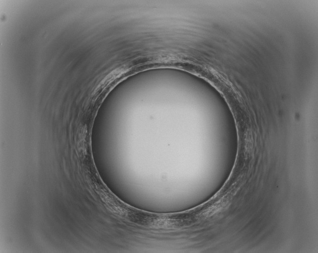 X0000087691265200705181746