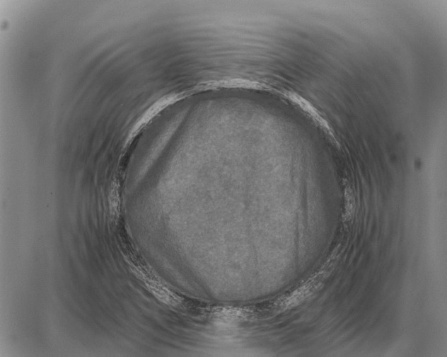 X0000087691266200705181746