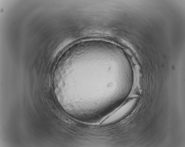 X0000087691267200705181746