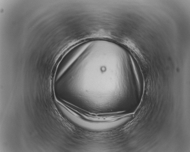 X0000087691268200705181746