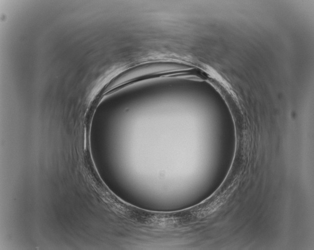 X0000087691269200705181746