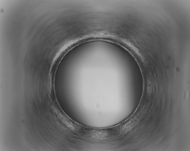 X0000087691270200705181746