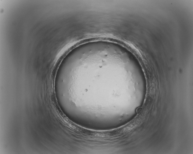 X0000087691271200705181745