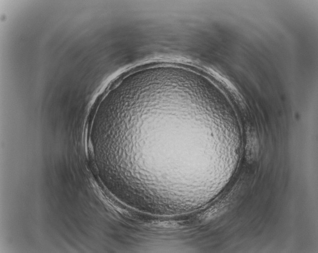 X0000087691272200705181745