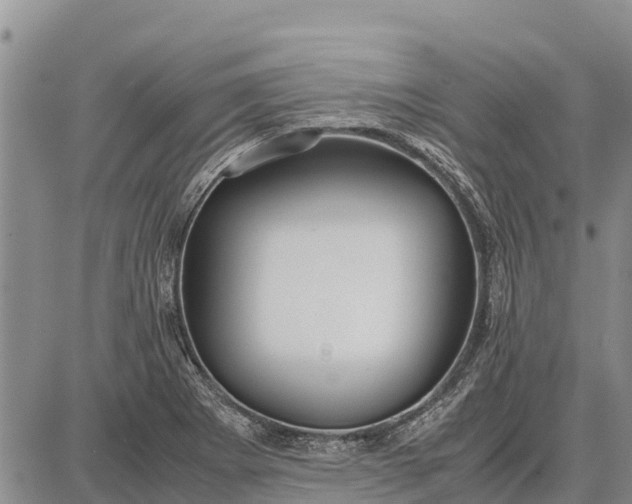 X0000087691273200705181745