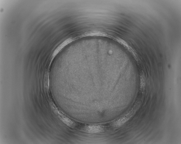 X0000087691274200705181745