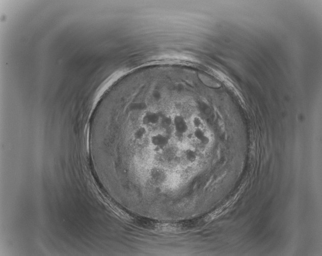 X0000087691275200705181745