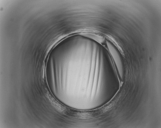 X0000087691276200705181745