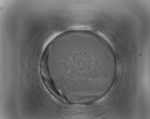 X0000087691277200705181745