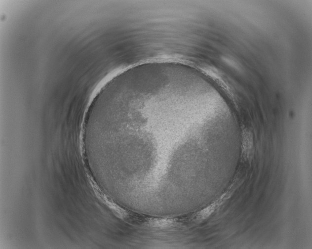 X0000087691278200705181745