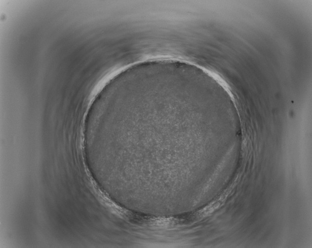 X0000087691279200705181745